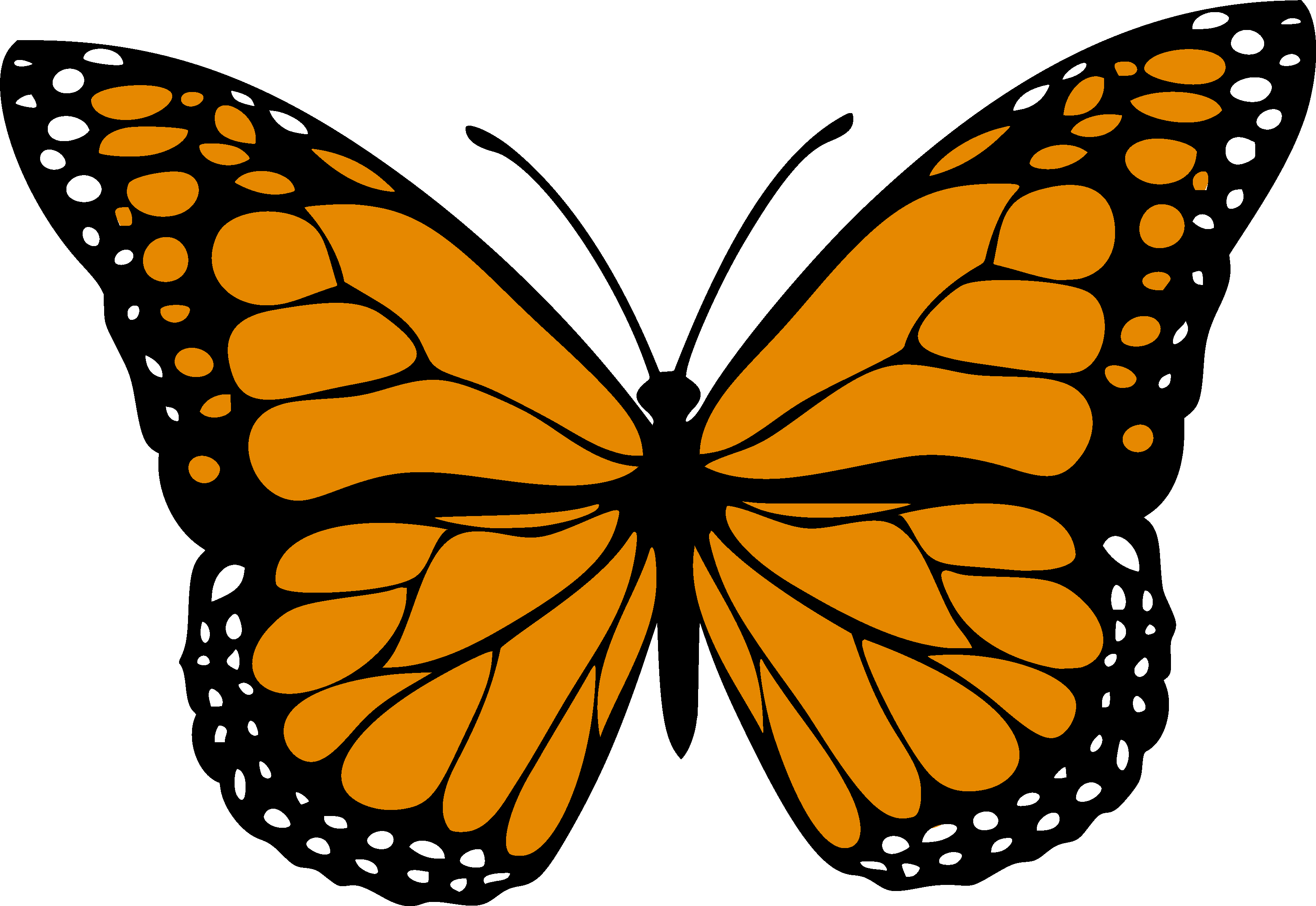 Monarch Butterfly vector design, free SVG download